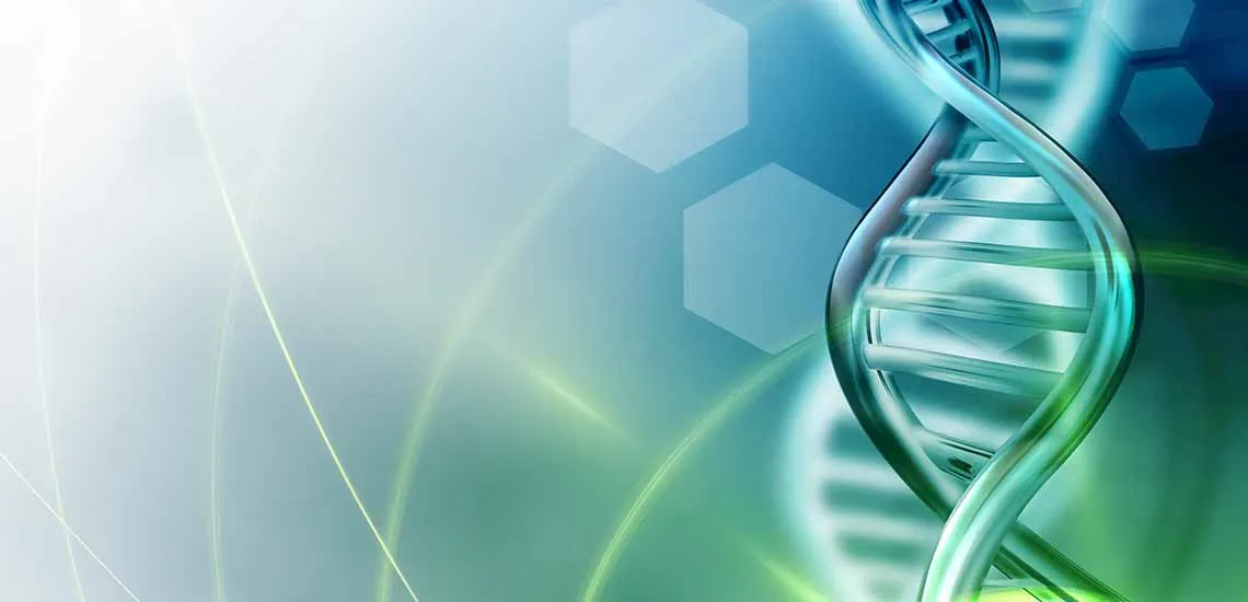 Systemumgebung der 3S ERP Software